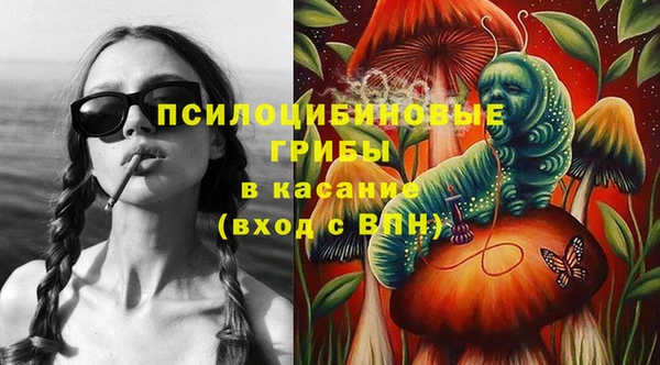 гидра Белоозёрский