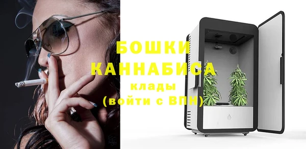 гидра Белоозёрский