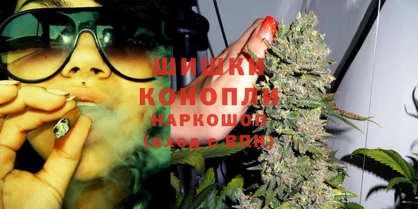 стафф Белокуриха