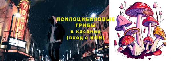 стафф Белокуриха
