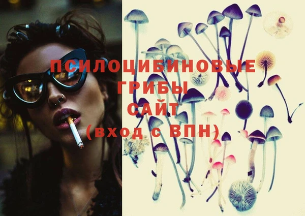 стафф Белокуриха