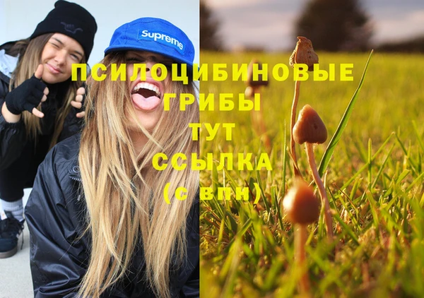 стафф Белокуриха